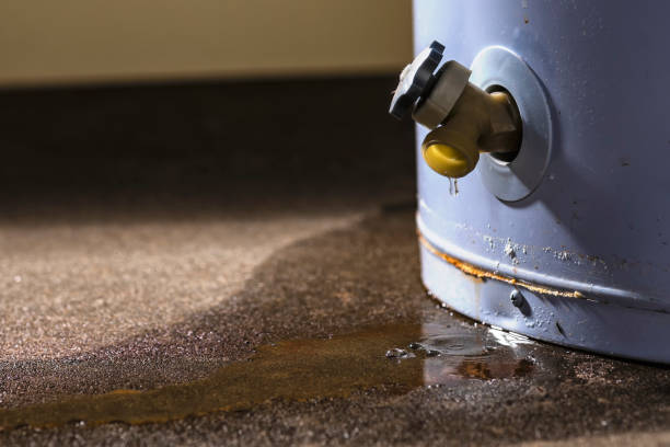 Best Fire Damage Restoration  in Nitro, WV