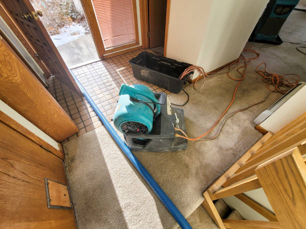 Best Residential water damage restoration  in Nitro, WV