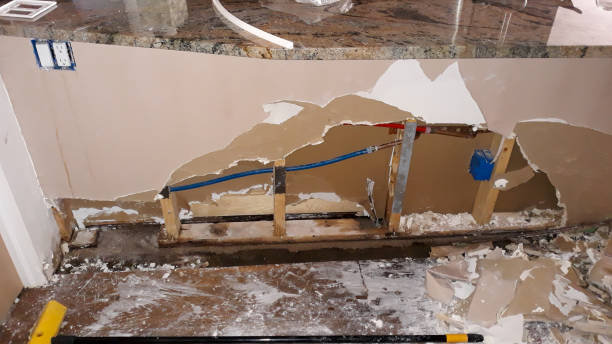 Best Flood damage cleanup  in Nitro, WV
