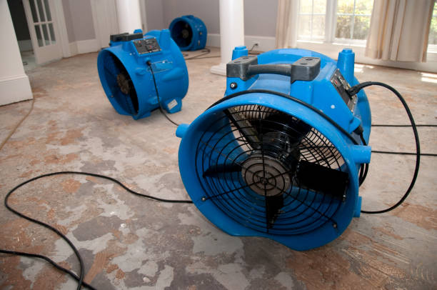 Best Local water damage restoration  in Nitro, WV