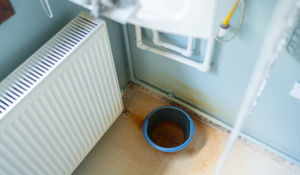 Best Water damage restoration near me  in Nitro, WV